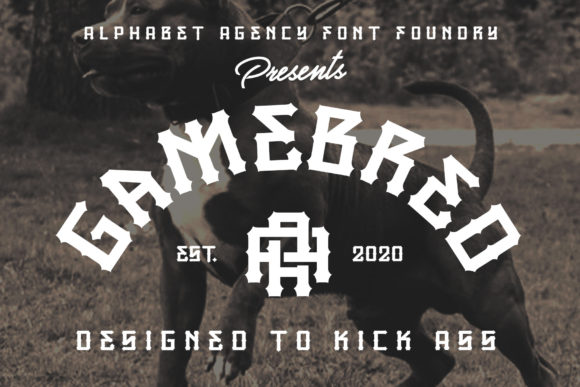How the Gamebred Font Helped My Small Brand Look Instantly More Polished