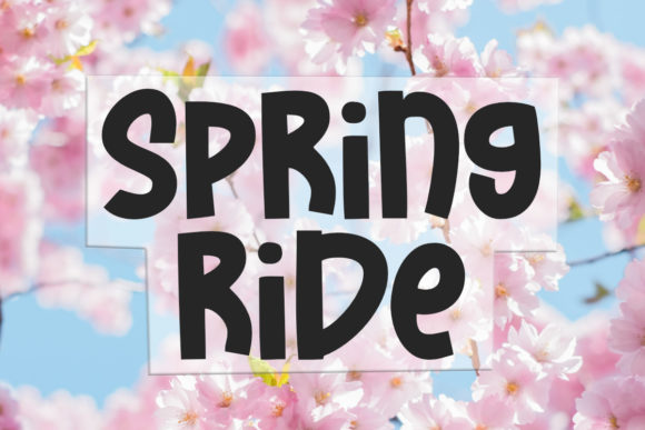 Spring Ride Font: A Web Designer's Review